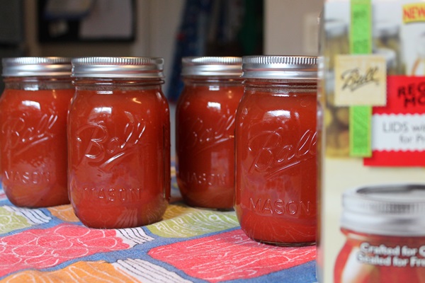 Salsa de tomate de manos propias del tomate: recetas paso a paso para cosechar durante el invierno