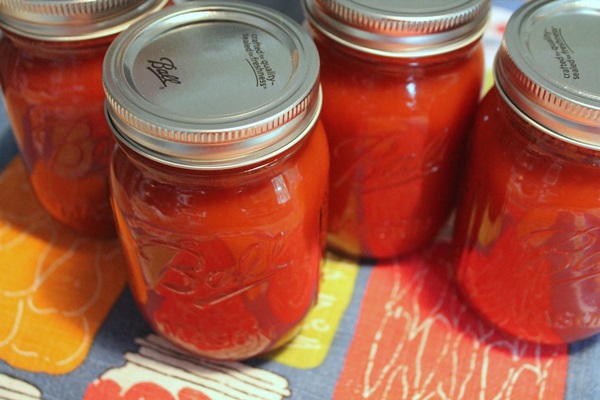 Salsa de tomate de manos propias del tomate: recetas paso a paso para cosechar durante el invierno