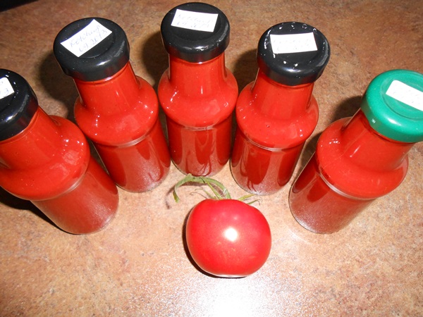 Salsa de tomate de manos propias del tomate: recetas paso a paso para cosechar durante el invierno