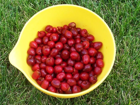 Compota fragante de cereza para el invierno - receta