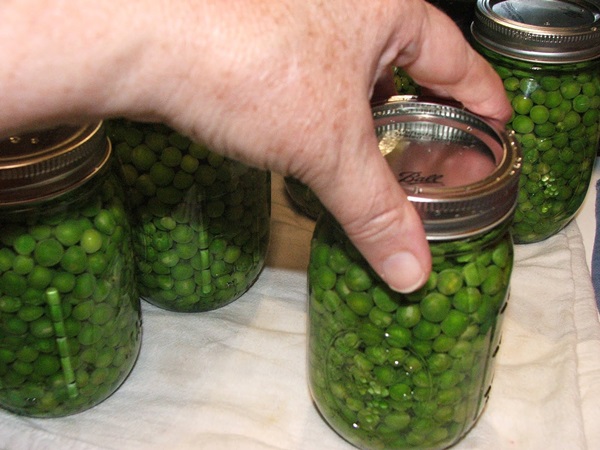 Guisantes verdes, enlatados para el invierno en casa