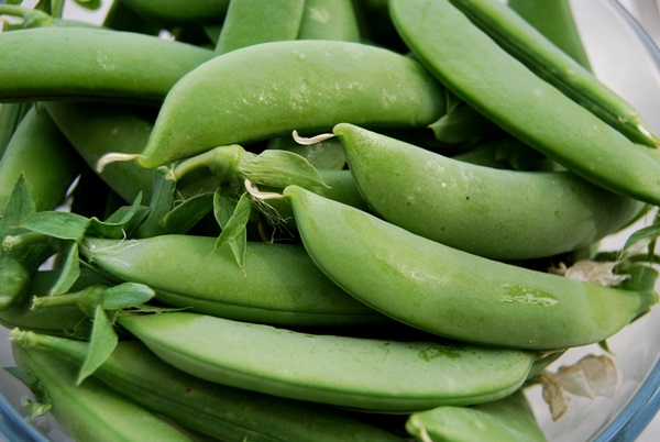 Guisantes verdes, enlatados para el invierno en casa