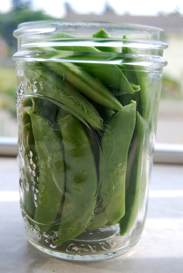 Guisantes verdes, enlatados para el invierno en casa