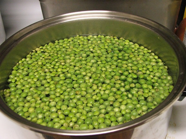 Guisantes verdes, enlatados para el invierno en casa