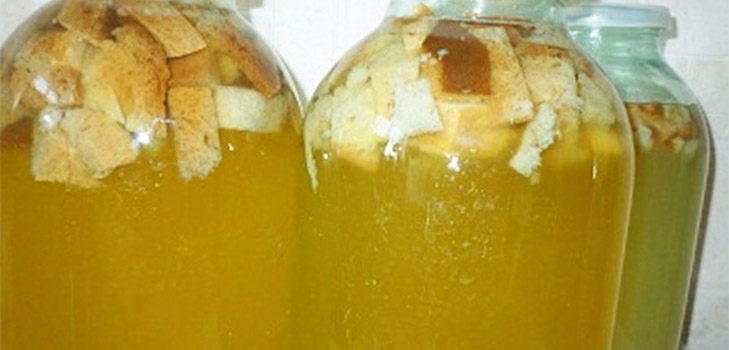 Recetas deliciosas y simples de kvas en savia de abedul Recetas deliciosas y simples de kvas en savia de abedul