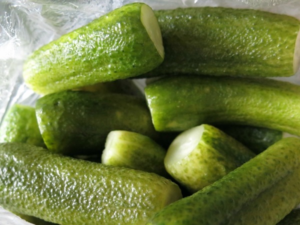 Pepino salado crujiente en una sartén