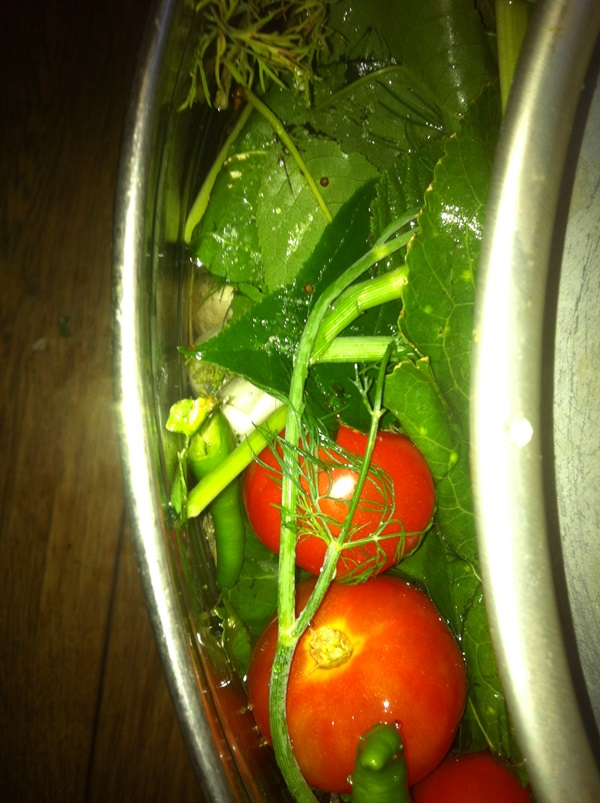 Tomates recién salados en una bolsa y una cacerola