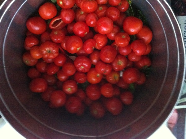 Tomates recién salados en una bolsa y una cacerola