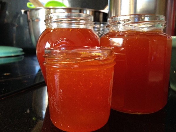 Espino amarillo para el invierno, las mejores recetas: con azúcar, sin cocinar, con miel, gelatina