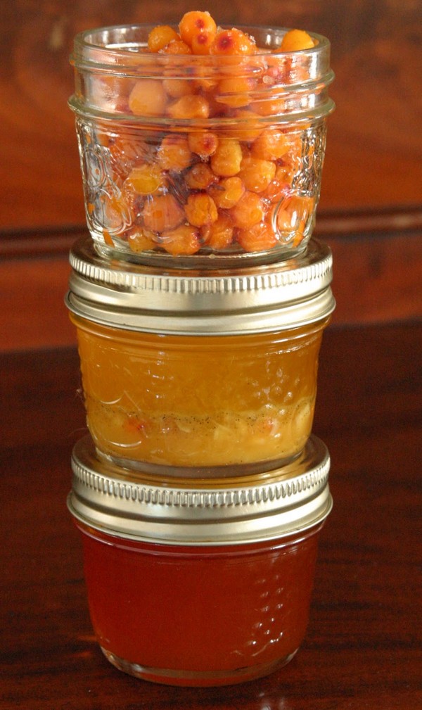 Espino amarillo para el invierno, las mejores recetas: con azúcar, sin cocinar, con miel, gelatina