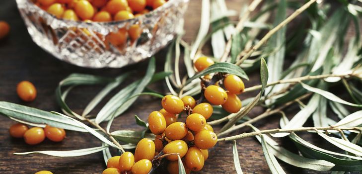 Receta de mermelada de espino amarillo