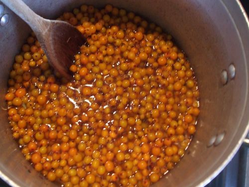 Mermelada pasteurizada de espino amarillo