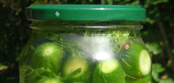 Recetas simples para la conservación de pepinos para el invierno sin vinagre