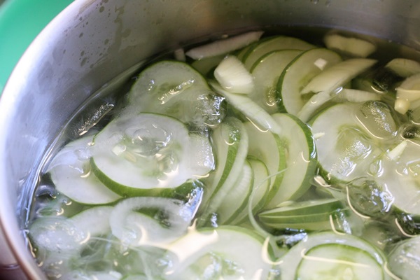 Recetas simples para la conservación de pepinos para el invierno sin vinagre