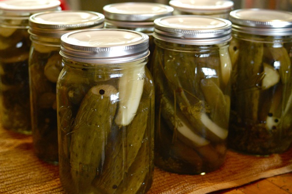 Recetas simples para la conservación de pepinos para el invierno sin vinagre