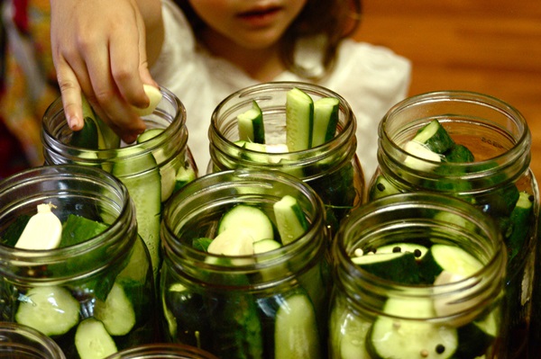 Recetas simples para la conservación de pepinos para el invierno sin vinagre