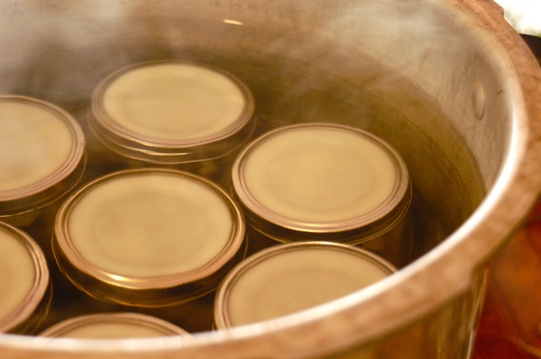 Recetas simples para la conservación de pepinos para el invierno sin vinagre