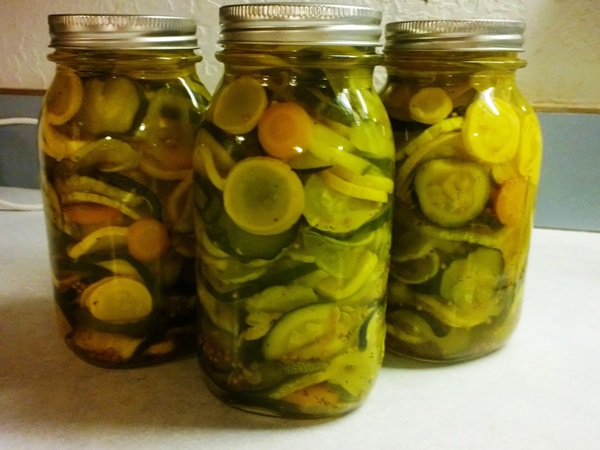 Recetas simples para la conservación de pepinos para el invierno sin vinagre