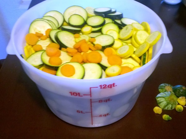 Recetas simples para la conservación de pepinos para el invierno sin vinagre