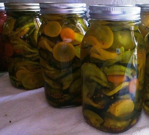 Recetas simples para la conservación de pepinos para el invierno sin vinagre
