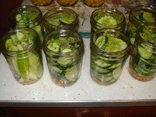 Recetas simples para la conservación de pepinos para el invierno sin vinagre