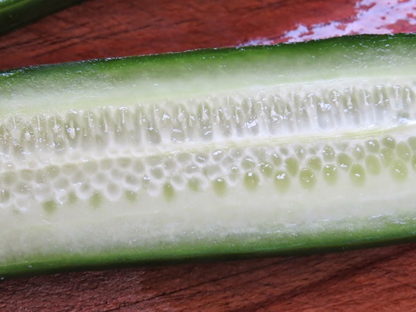Recetas simples para la conservación de pepinos para el invierno sin vinagre