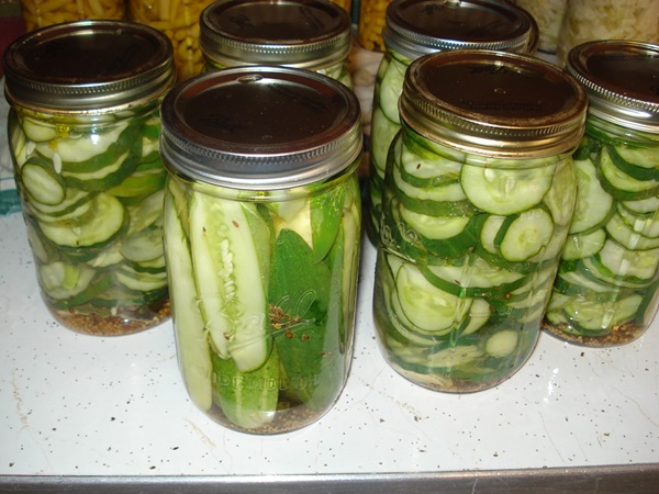 Recetas simples para la conservación de pepinos para el invierno sin vinagre