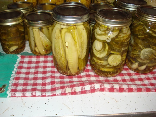 Recetas simples para la conservación de pepinos para el invierno sin vinagre