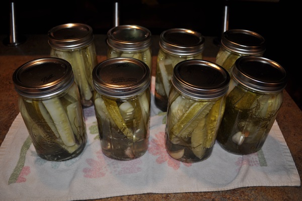 Recetas simples para la conservación de pepinos para el invierno sin vinagre