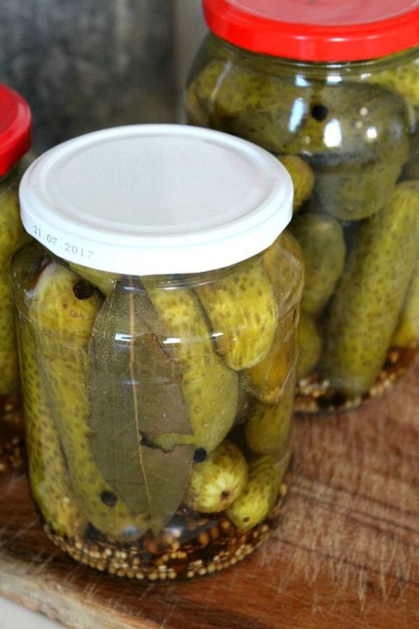 Recetas simples para la conservación de pepinos para el invierno sin vinagre