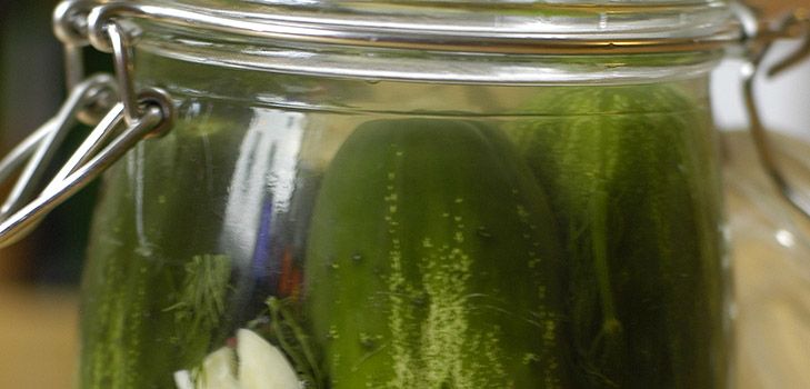 Sabrosos pepinos con ajo para el invierno