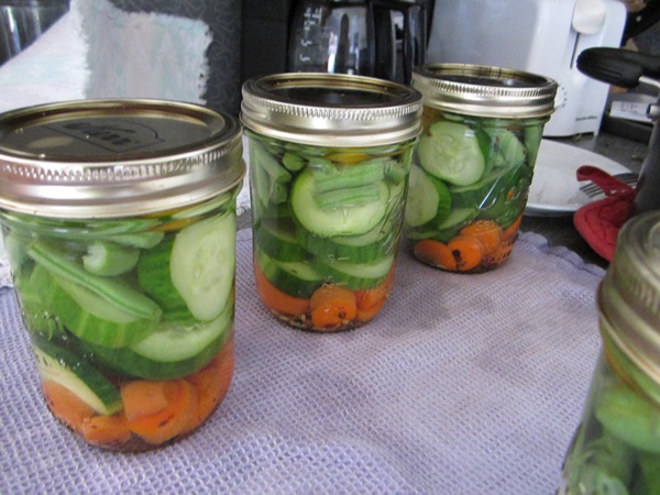 Sabrosos pepinos con ajo para el invierno