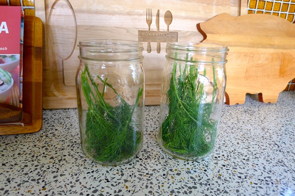 Sabrosos pepinos con ajo para el invierno