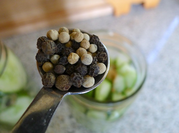 Sabrosos pepinos con ajo para el invierno