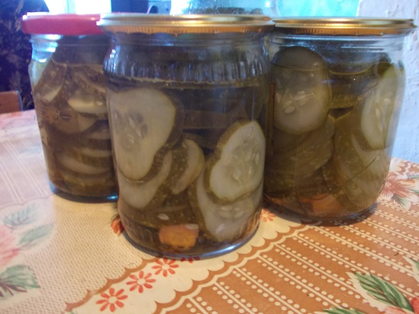 Sabrosos pepinos con ajo para el invierno