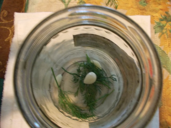 Sabrosos pepinos con ajo para el invierno