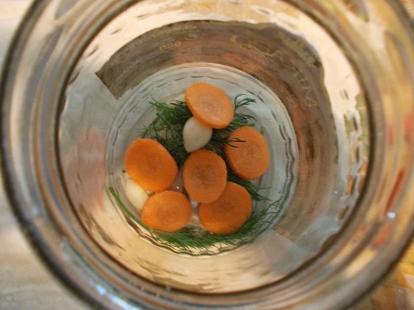 Sabrosos pepinos con ajo para el invierno