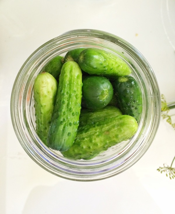 Sabrosos pepinos con ajo para el invierno