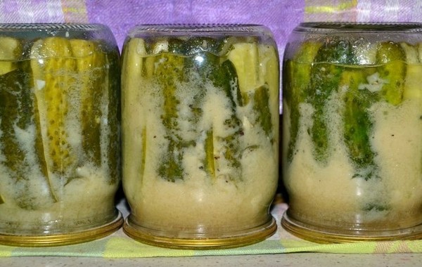 Pepinos con mostaza para el invierno sin esterilización y con ella, caliente y fría. Ensalada de pepinos demasiado maduros con mostaza