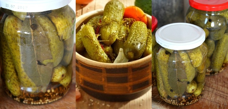 Pepinos con mostaza para el invierno en latas, recetas con foto