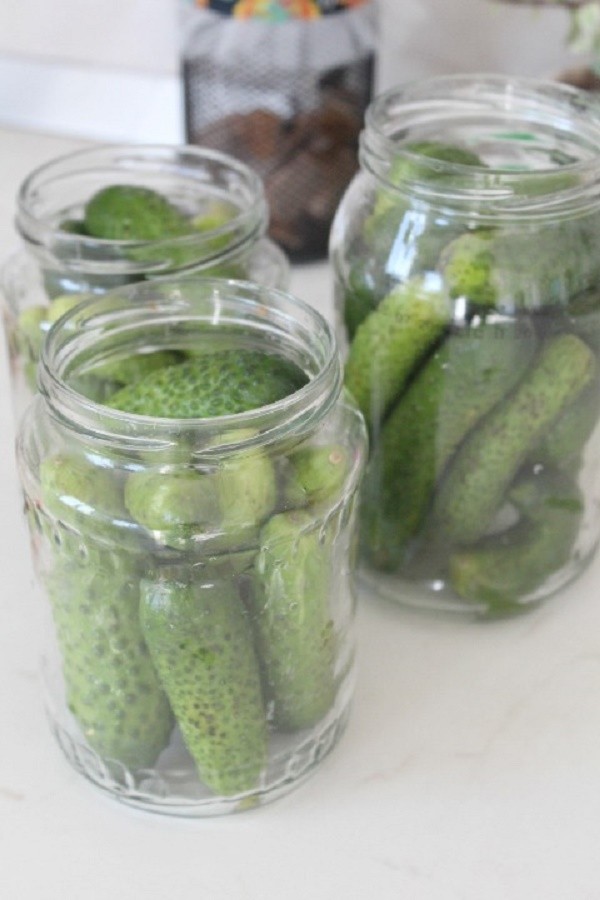 Pepinos con mostaza para el invierno en latas, recetas con foto