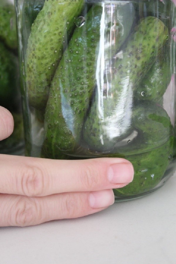 Pepinos con mostaza para el invierno en latas, recetas con foto