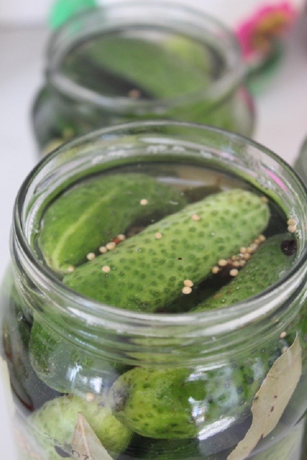 Pepinos con mostaza para el invierno en latas, recetas con foto