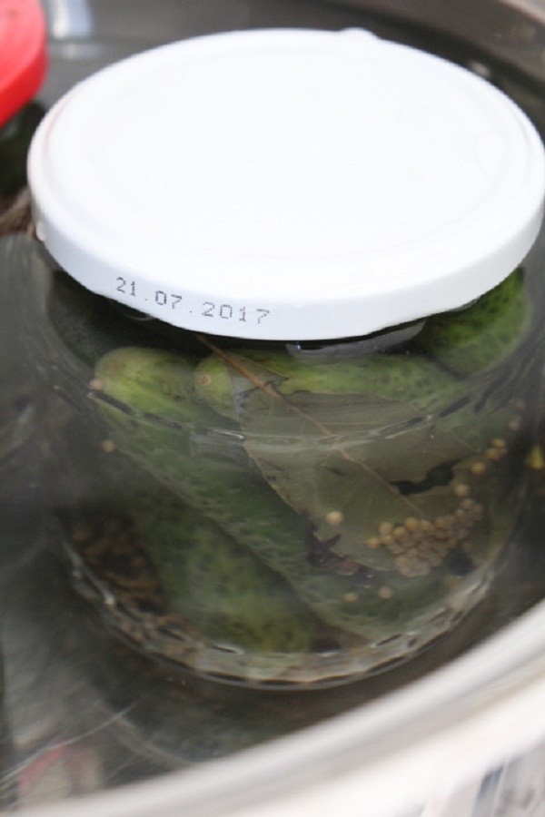 Pepinos con mostaza para el invierno en latas, recetas con foto