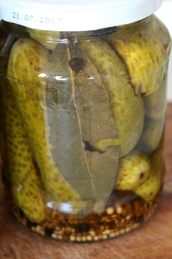 Pepinos con mostaza para el invierno en latas, recetas con foto