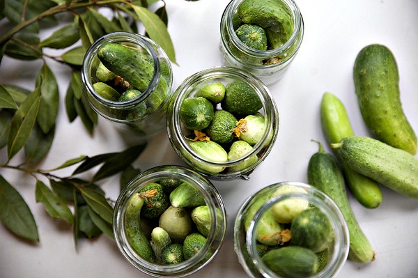 Pepinos con mostaza para el invierno en latas, recetas con foto