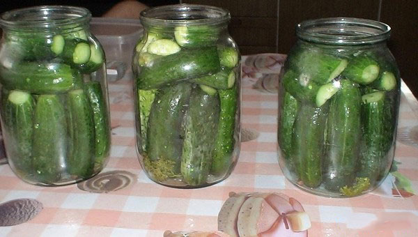 Pepinos con ketchup para el invierno - sin esterilización, en latas. Cosecha de pepino picante y crujiente de invierno con chile ketchup