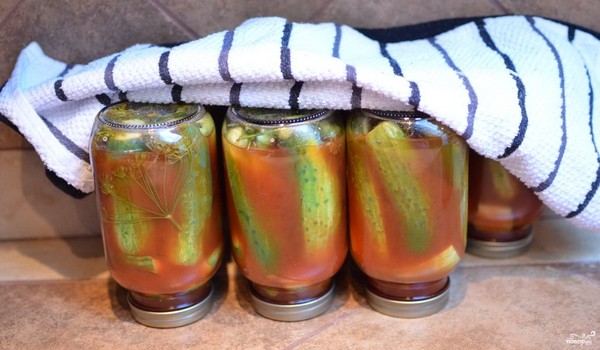 Pepinos con ketchup para el invierno - sin esterilización, en latas. Cosecha de pepino picante y crujiente de invierno con chile ketchup Pepinos con ketchup para el invierno - sin esterilización, en latas. Cosecha de pepino picante y crujiente de invierno con chile ketchup
