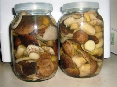 Conejitos para el invierno: métodos y recetas para palanquillas