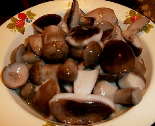 Conejitos para el invierno: métodos y recetas para palanquillas